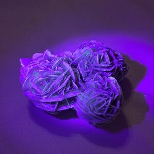 2.8oz Desert Rose Selenite Gypsum Cluster UV Reactive Crystal 2in